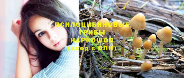 ешки Сатка