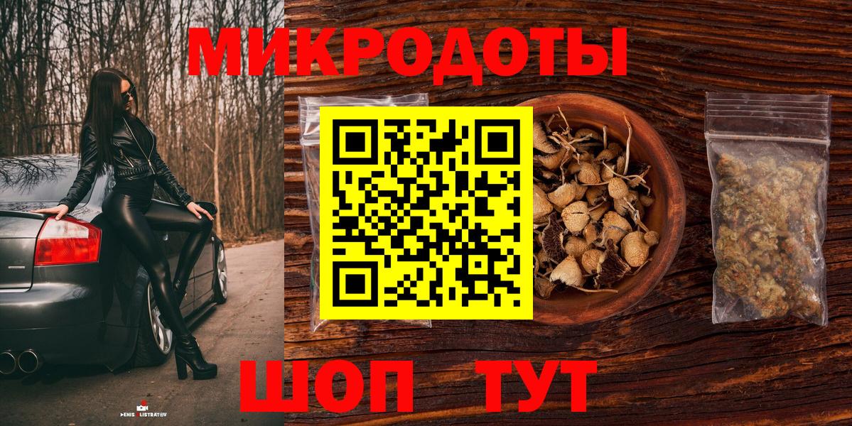 Псилоцибиновые грибы Psilocybe Пушкино