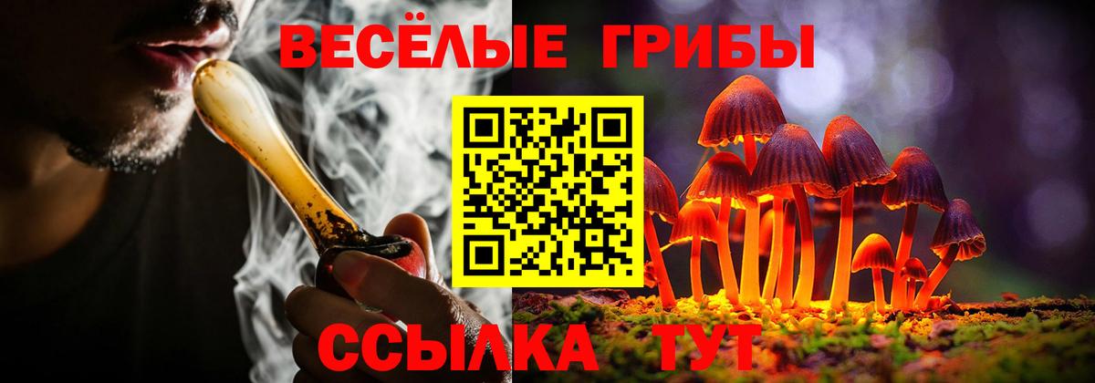 Пушкино  Псилоцибиновые грибы Psilocybe  Вход с VPN 