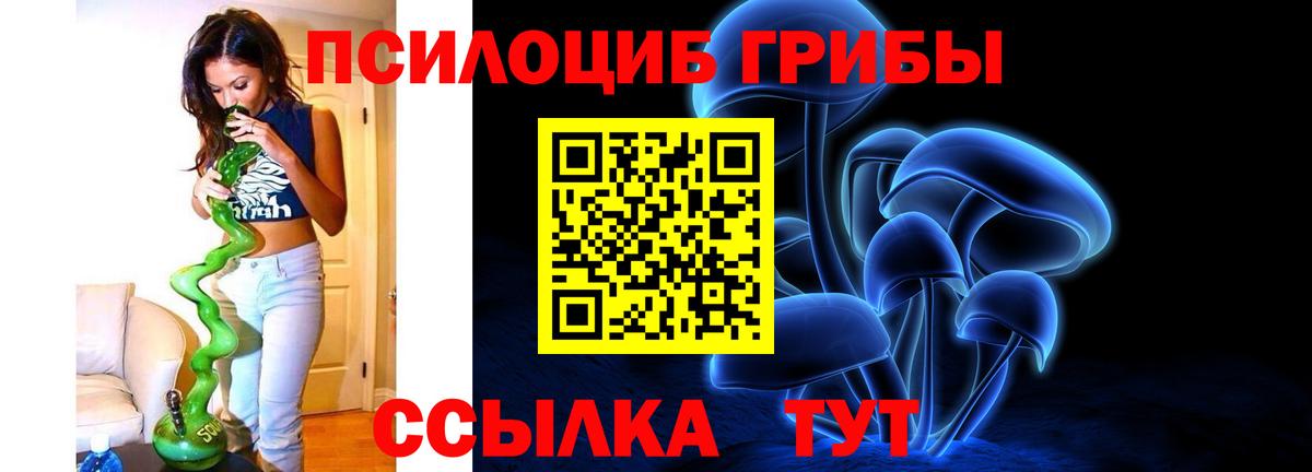 Псилоцибиновые грибы MAGIC MUSHROOMS  Пушкино  где можно купить   Псилоцибиновые грибы Psilocybine cubensis 