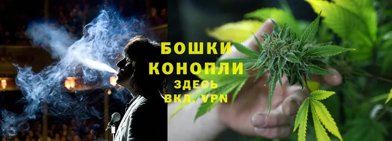 купить наркоту  OMG как войти  Шишки марихуана OG Kush  Пушкино 